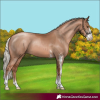 Horse Color:Silver Black Pearl Sabino