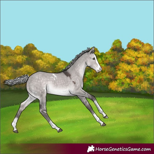 Horse Color:Platinum White Spotted Silver Brown Dun Splash Rabicano