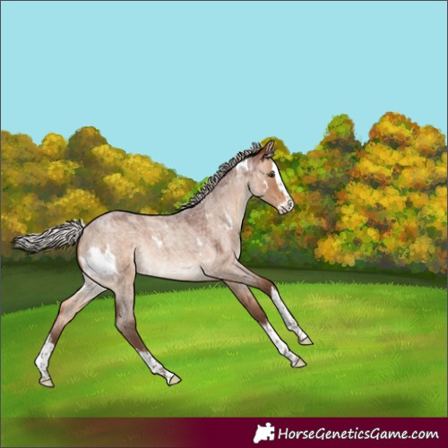Horse Color:White Spotted Silver Bay Roan Dun Splash
