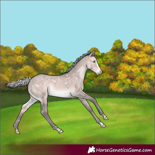 Horse Color:Platinum White Spotted Silver Brown Dun Splash Brindle