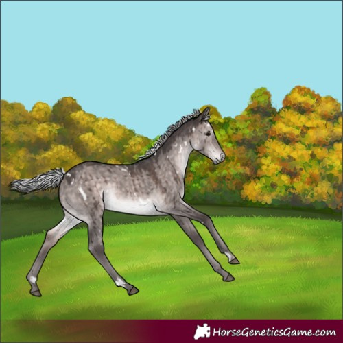 Horse Color:Platinum White Spotted Silver Brown Dun Brindle