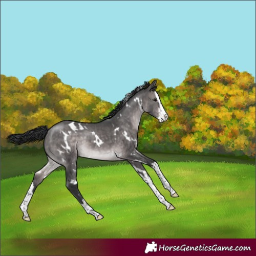 Horse Color:Platinum White Spotted Brown Dun Splash 