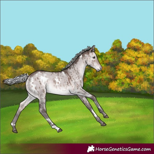 Horse Color:Platinum White Spotted Silver Brown Dun Brindle