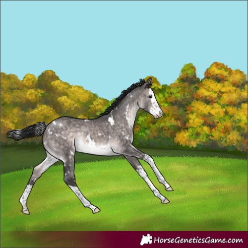 Horse Color:Platinum White Spotted Brown Dun Splash 