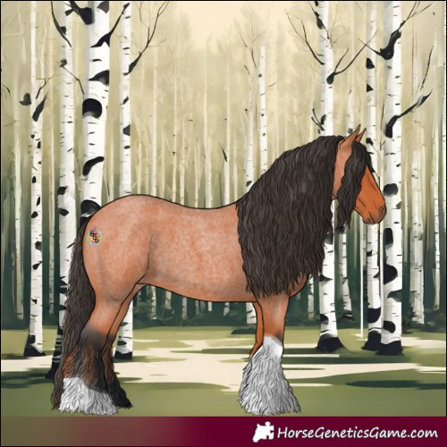 Horse Color:Bay Roan Tobiano 