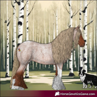 Horse Color:Red Roan Tobiano