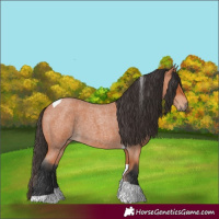 Horse Color:Bay Roan Tobiano 