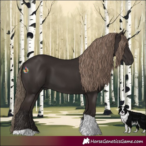 Horse Color:Liver Chestnut Tobiano