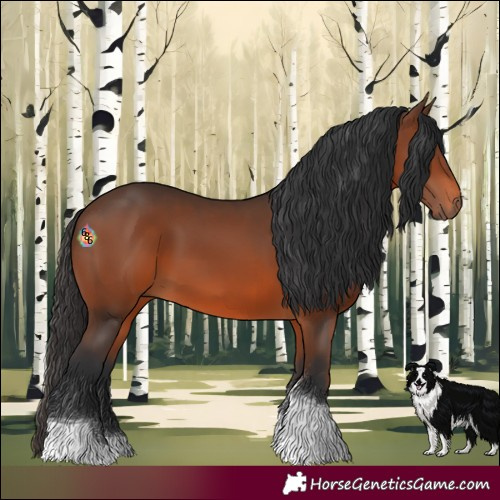 Horse Color:Brown Tobiano 