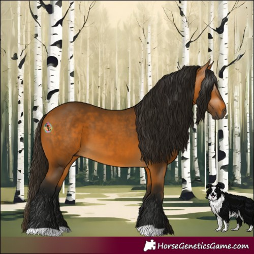 Horse Color:Gray Buckskin 