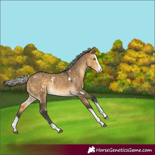 Horse Color:White Spotted Silver Buckskin Dun Splash Rabicano