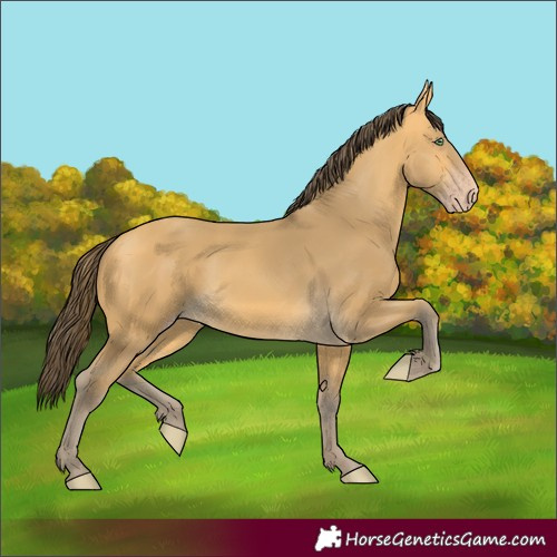 Horse Color:Sable Cream Champagne 