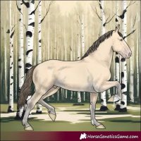 Horse Color:Amber Cream Champagne 