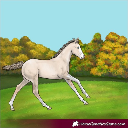 Horse Color:Gold Champagne Pearl Dun Sabino