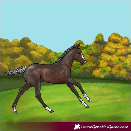 Horse Color:Silver Brown 