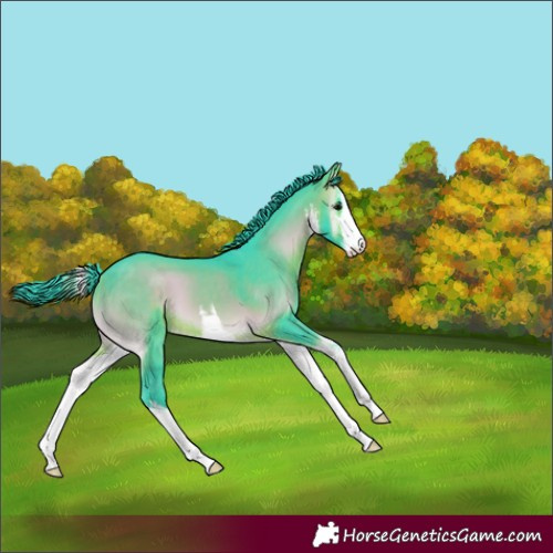 Horse Color:Watercolor White Spotted Bay Onyx 