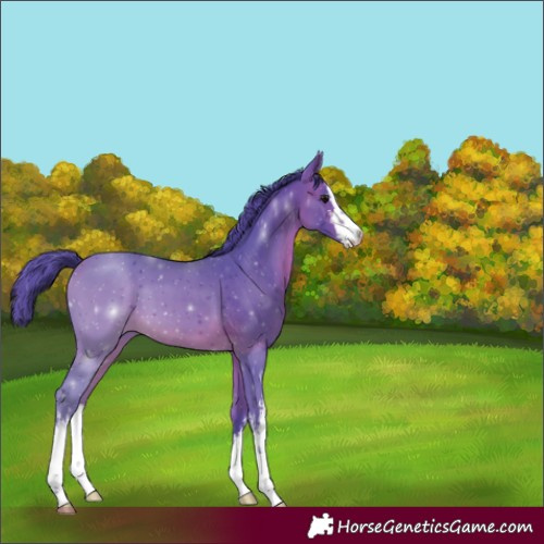 Horse Color:Watercolor White Spotted Bay 