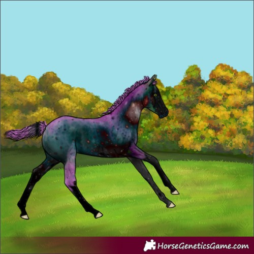 Horse Color:ERROR: UNKNOWN ANOMALY