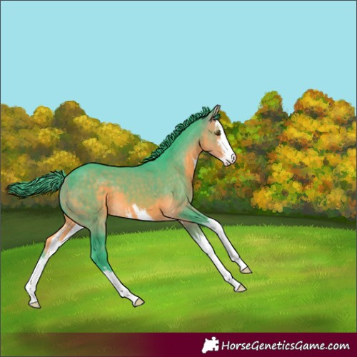 Horse Color:Watercolor White Spotted Buckskin 