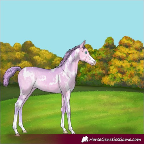 Horse Color:Watercolor White Spotted Perlino 