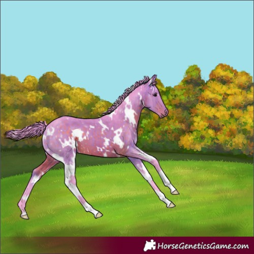 Horse Color:Watercolor White Spotted Brown 