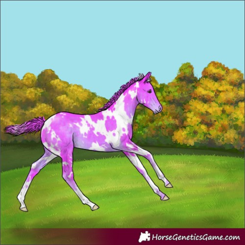 Horse Color:Watercolor White Spotted Liver Chestnut 