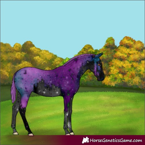 Horse Color:ERROR: UNKNOWN ANOMALY