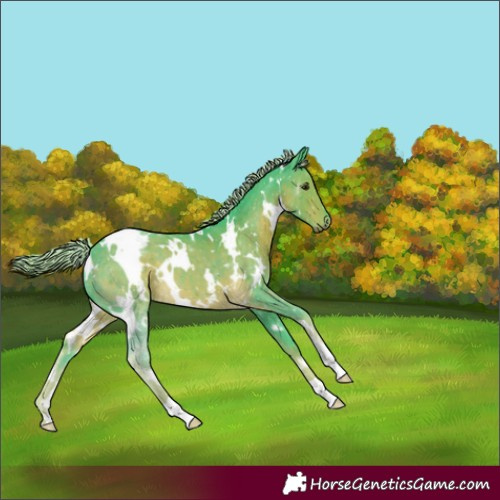 Horse Color:Watercolor White Spotted Chocolate Palomino