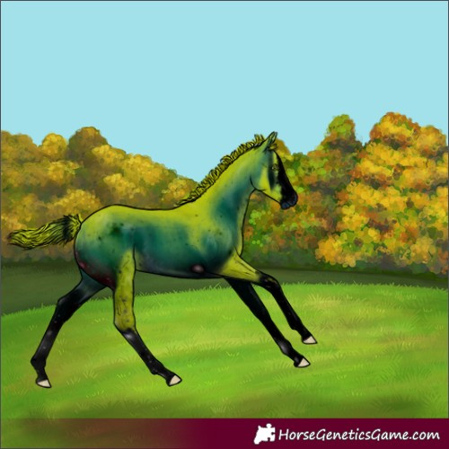 Horse Color:ERROR: UNKNOWN ANOMALY