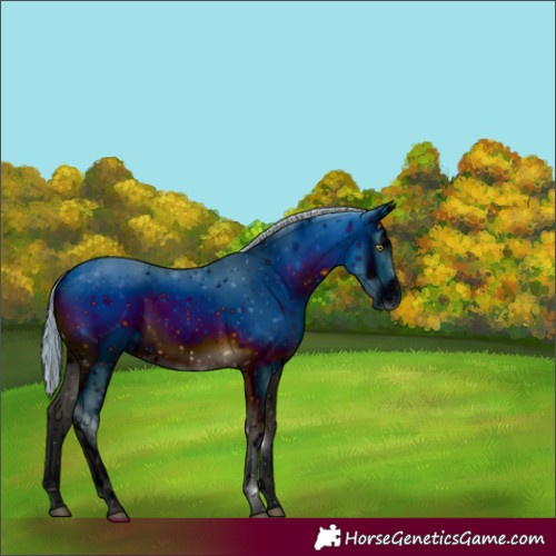 Horse Color:ERROR: UNKNOWN ANOMALY