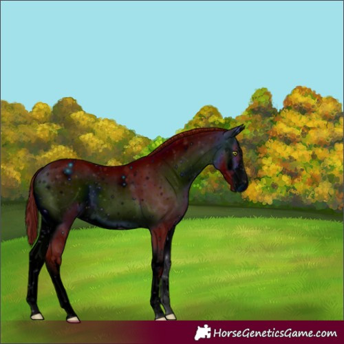 Horse Color:ERROR: UNKNOWN ANOMALY