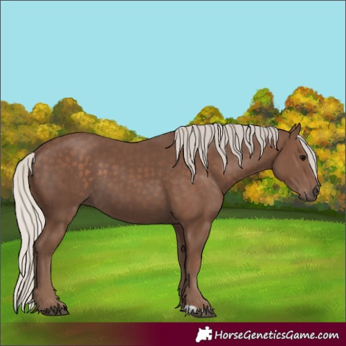 Horse Color:Silver Black 