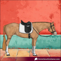Horse Color:Chestnut Splash Frame 