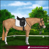 Horse Color:Chestnut Splash Frame 