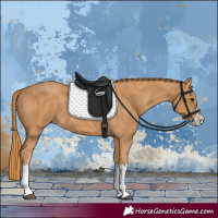 Horse Color:Chestnut Splash Frame 