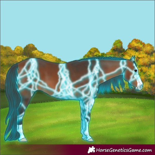 Horse Color:Thunderstruck Bay