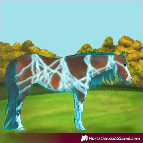 Horse Color:Thunderstruck Bay