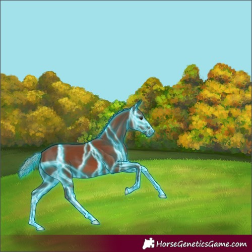 Horse Color:Thunderstruck Chestnut 