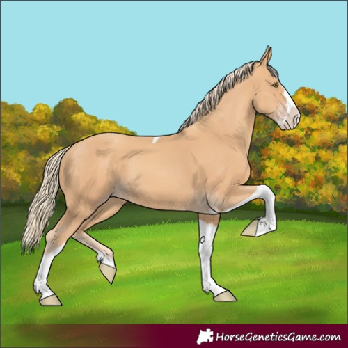 Horse Color:Gold Champagne Splash Tobiano 