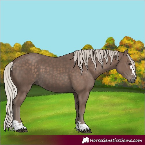 Horse Color:Silver Black 