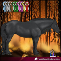Horse Color:Black 