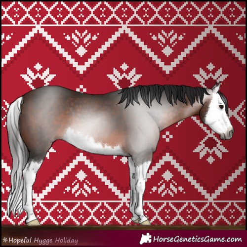 Horse Color:Gray Bay Splash 