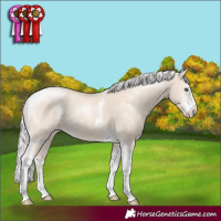 Horse Color:Silver Smoky Creme Sabino Tobiano Rabicano