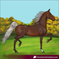 Horse Color:Silver Brown