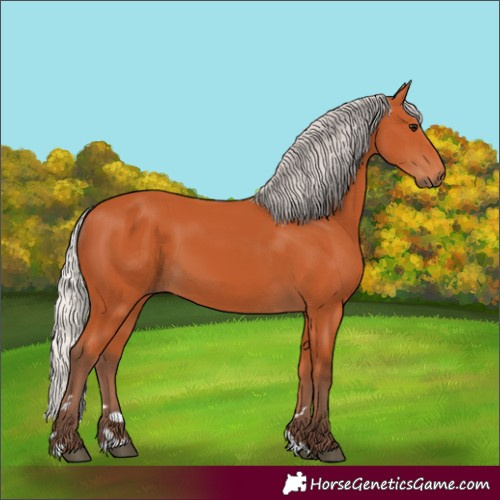 Horse Color:Unknown 
