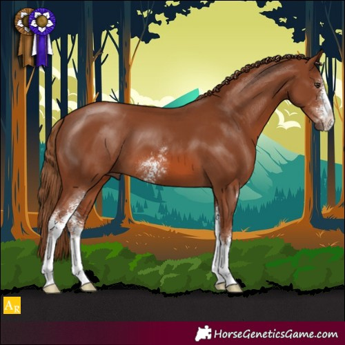 Horse Color:Chestnut Sabino 