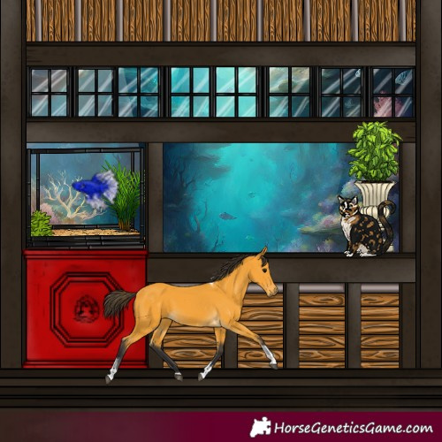 Horse Color:Buckskin Tobiano 