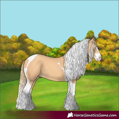 Horse Color:Gold Champagne Splash Tobiano