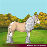 Horse Color:Gold Champagne Splash Tobiano 