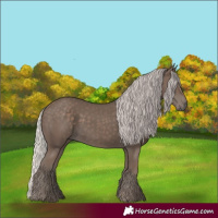 Horse Color:Silver Black 